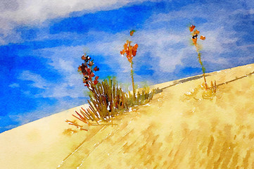 White Sands