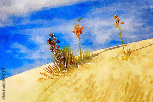 White Sands