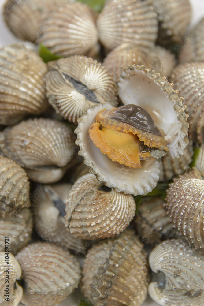 Boil Blood Cockle seafood Boil Blood Cockle seafood