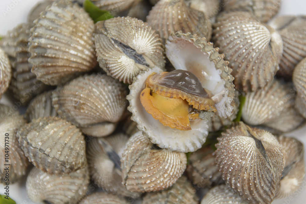 Boil Blood Cockle seafood Boil Blood Cockle seafood