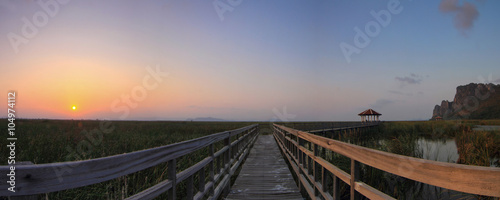panorama of wood walkway of the lake park in sunset time