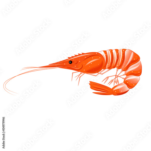 Red shrimp - seafood