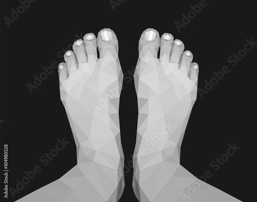 polygonal legs feet top view black and white monochrome on black
