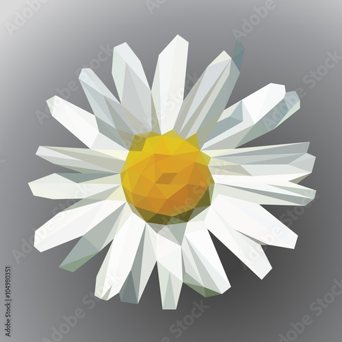 Fototapeta Naklejka Na Ścianę i Meble -  polygonal open flower with petals daisy on gray