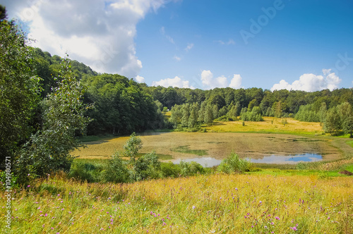 landscape Lake of the Woods photo