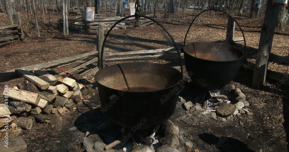 Metal pots used in the old times to produce maple syrup
Metal pots used in the old times to produce maple syrup