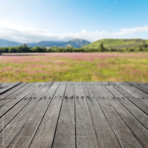 wood floor with pasture in summer sunny day in New Zealand
