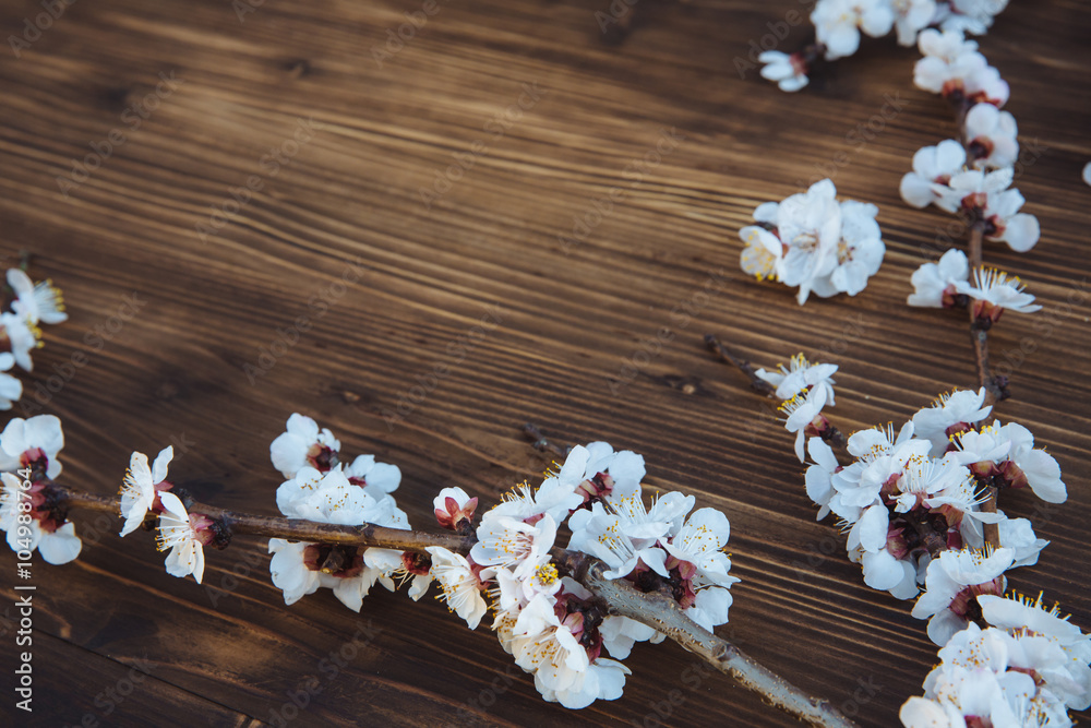 Obraz premium Wooden background with cherry flowers on it