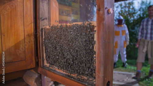 Tourists couple is imprest by the bees  photo