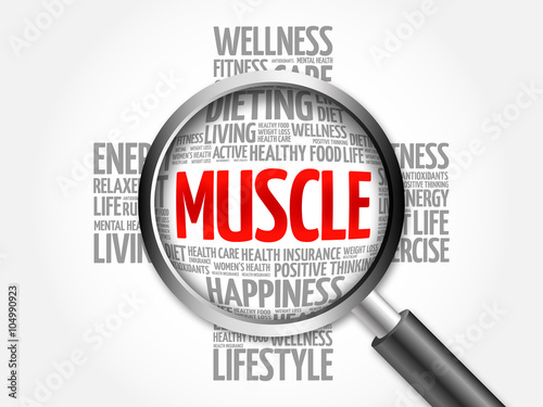 Muscle word cloud with magnifying glass, health concept