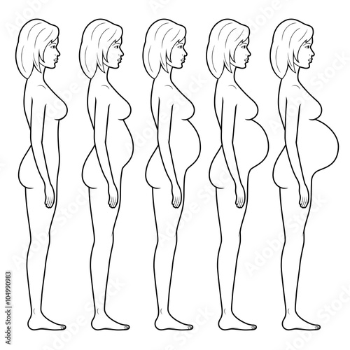 Illustration of a pregnant woman's figure