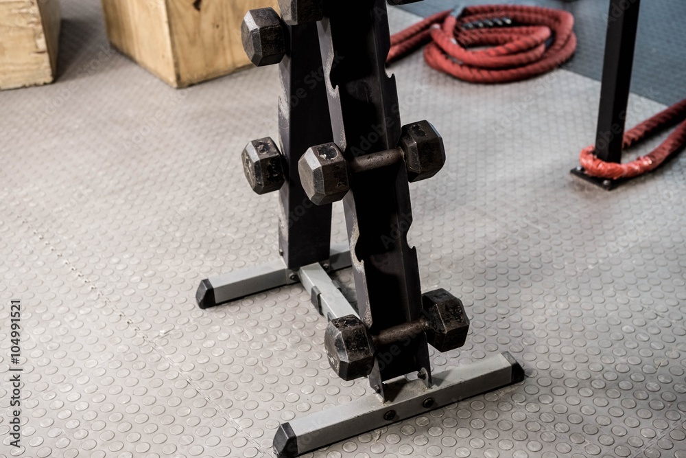 Fototapeta premium Dumbbell rack
