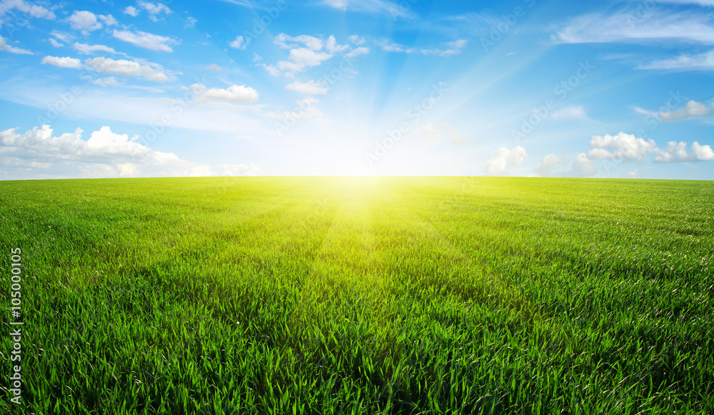 field and sun field and sun
