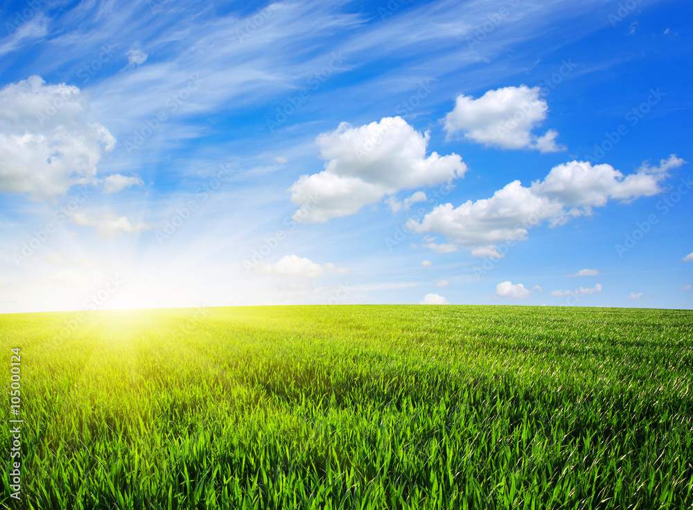 field and sun field and sun