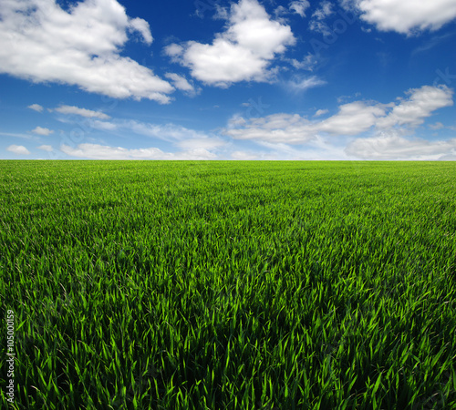  field and sky