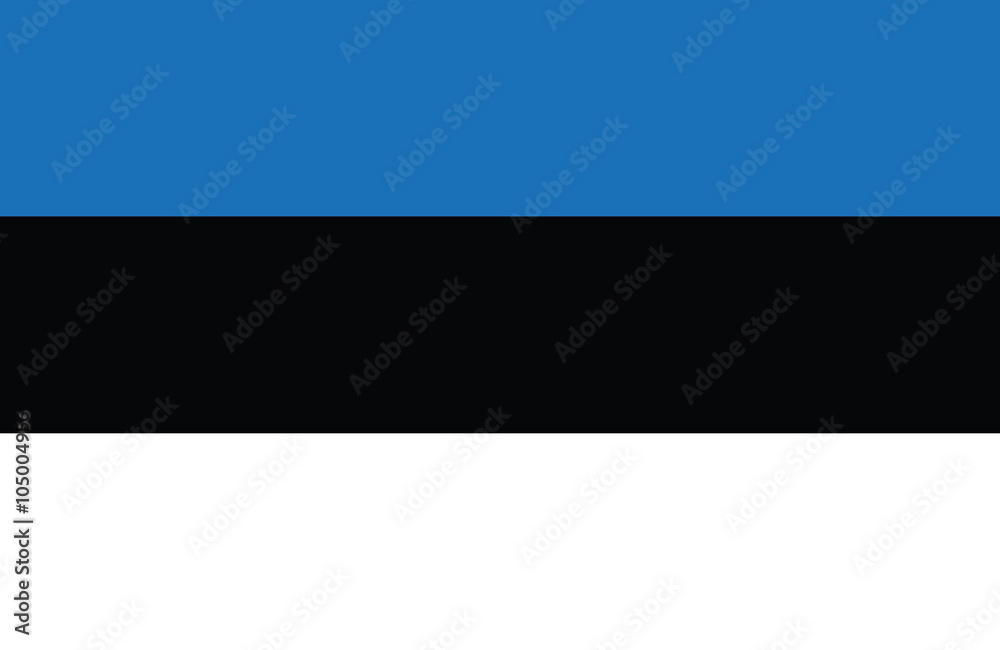 Fototapeta premium Estonian flag.