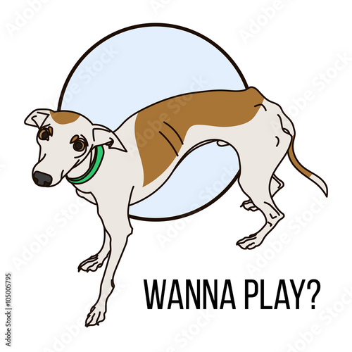 Vector Image With Pretty Italian Greyhound