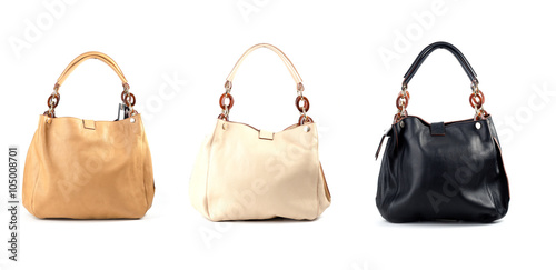 group of women leather handbags isolated on white background