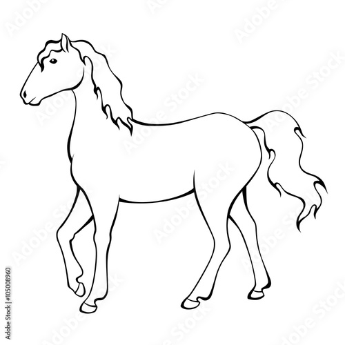 Horse black white isolated illustration vector