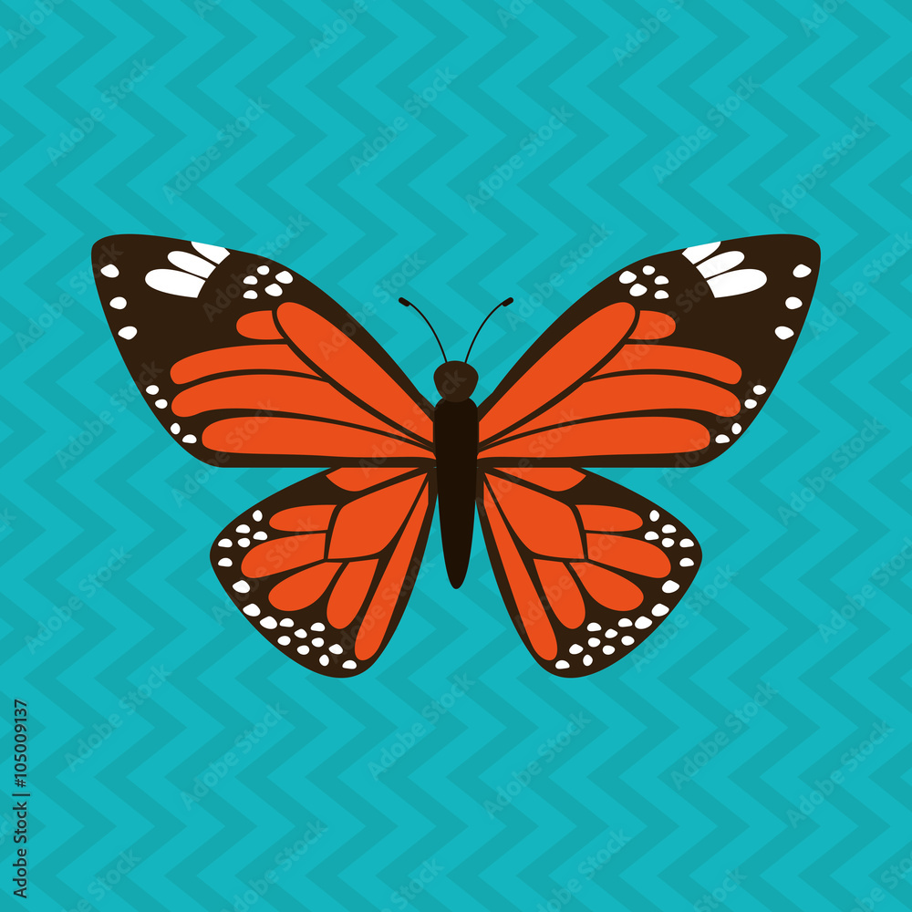 Fototapeta premium butterfly isolated design 
