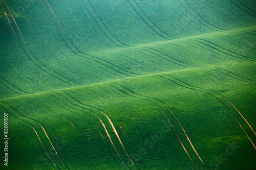 Green Moravia Hills in spring photo