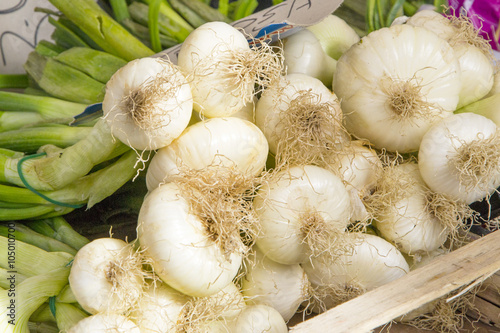 cipolline fresche al mercato photo