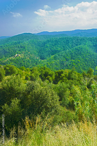 Vistas de monta  as en el prepirineo de Girona