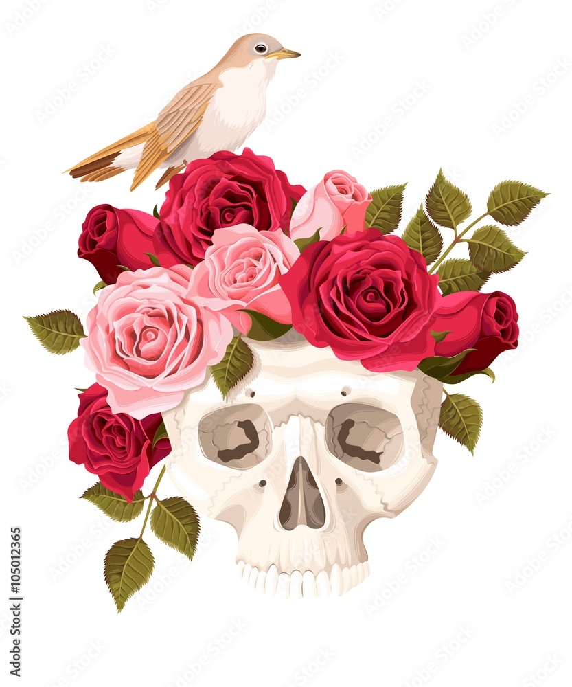 Human skull with roses Human skull with roses