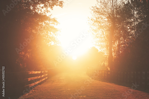 Billede på lærred Rural country farm ranch grass road with three board wood fences under sunset or
