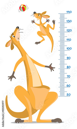 Meter wall with two funny kangaroo