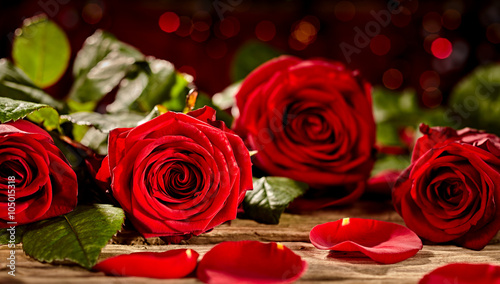 Vivid red rose petals
