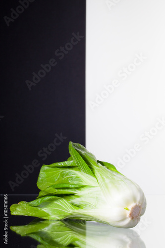 Single Chinese cabbage isolated on black and white background photo