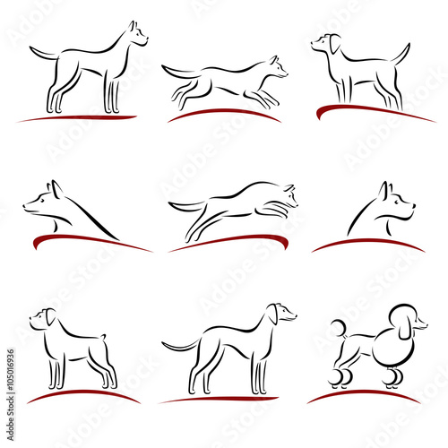 Dogs set. Vector