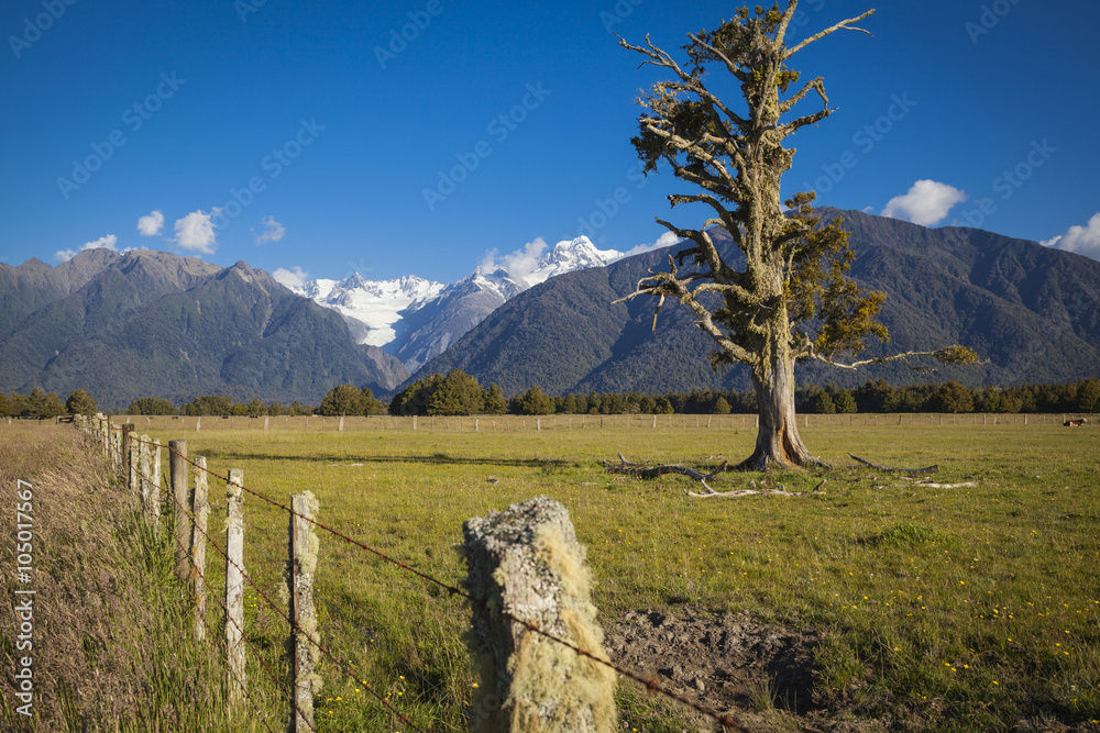 Blick auf die Südalpen Neuseeland