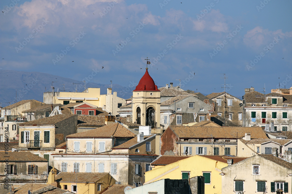swallow flying over Corfu town