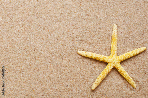 Sea shells on sand.red and yellow Shell Starfish