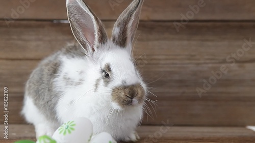 easter bunny and easter eggs