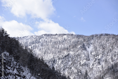 北海道の冬