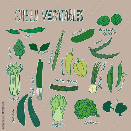 Green vegetables. Vector hand drawn objects with white outline