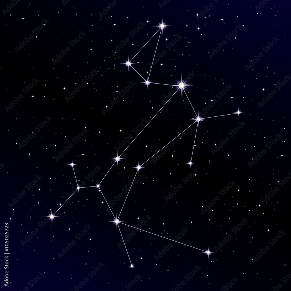 Obraz premium Canis Major constellation with Sirius star