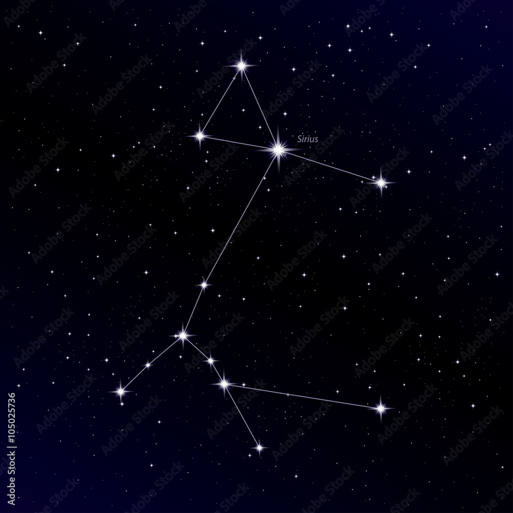 Canis Major constellation with Sirius star Stock Vector | Adobe Stock