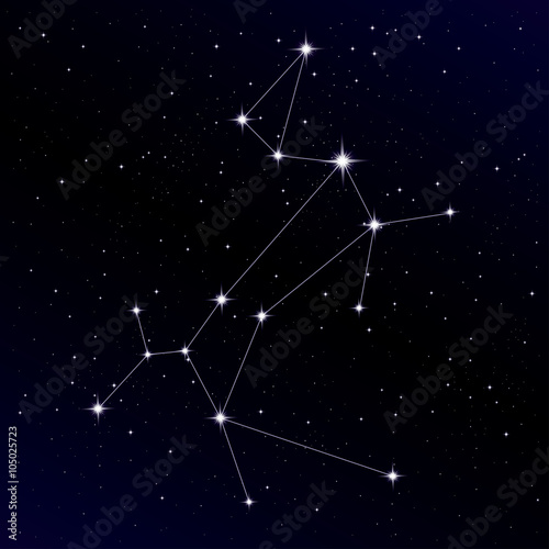 Canis Major constellation with Sirius star photo