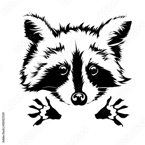 vector hug raccoon 2