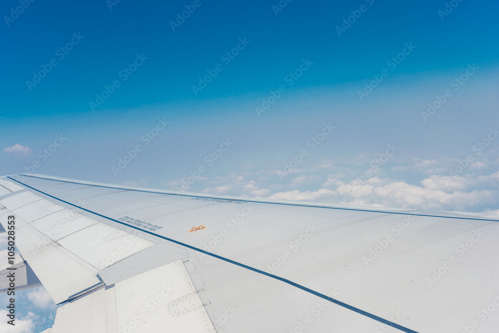 View from the airplane window View from the airplane window