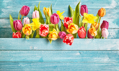 Tulip border with copy space