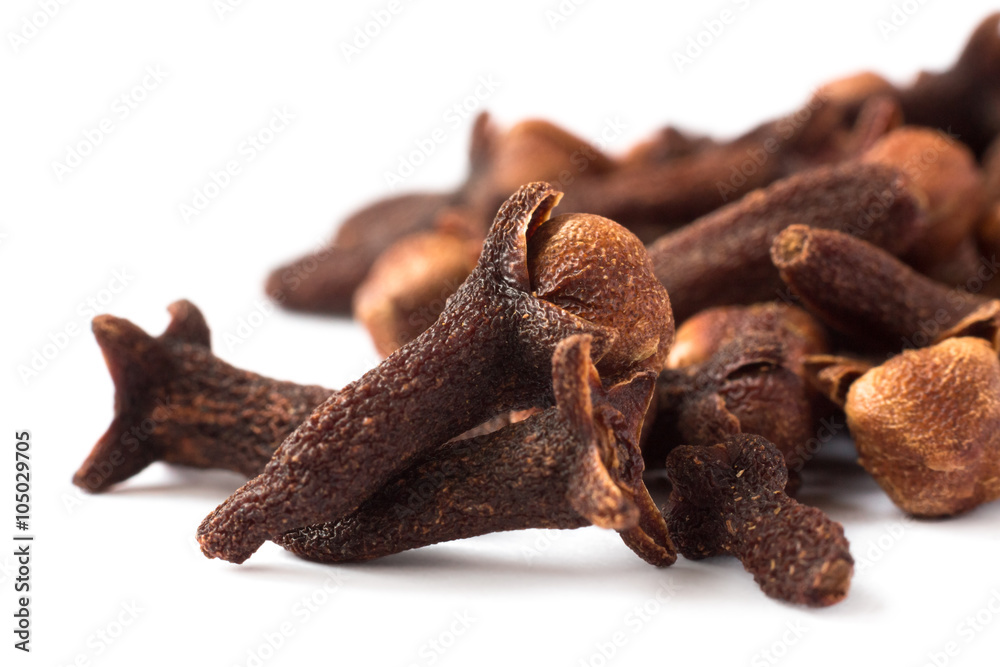 clove macro Syzygium aromaticum clove macro Syzygium aromaticum