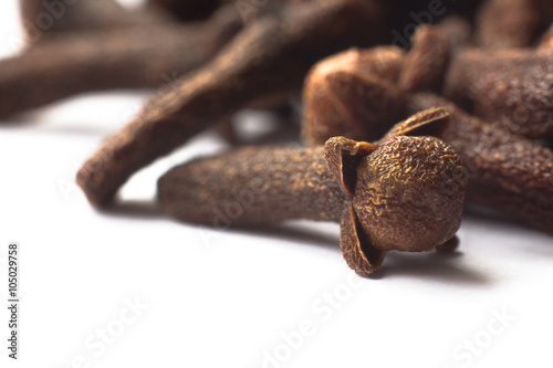 clove macro Syzygium aromaticum photo