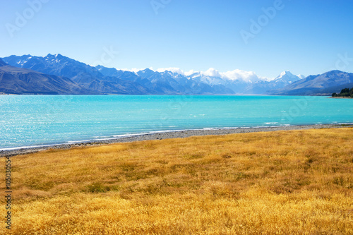 meadow near lake in summer sunny day in New Zealand
