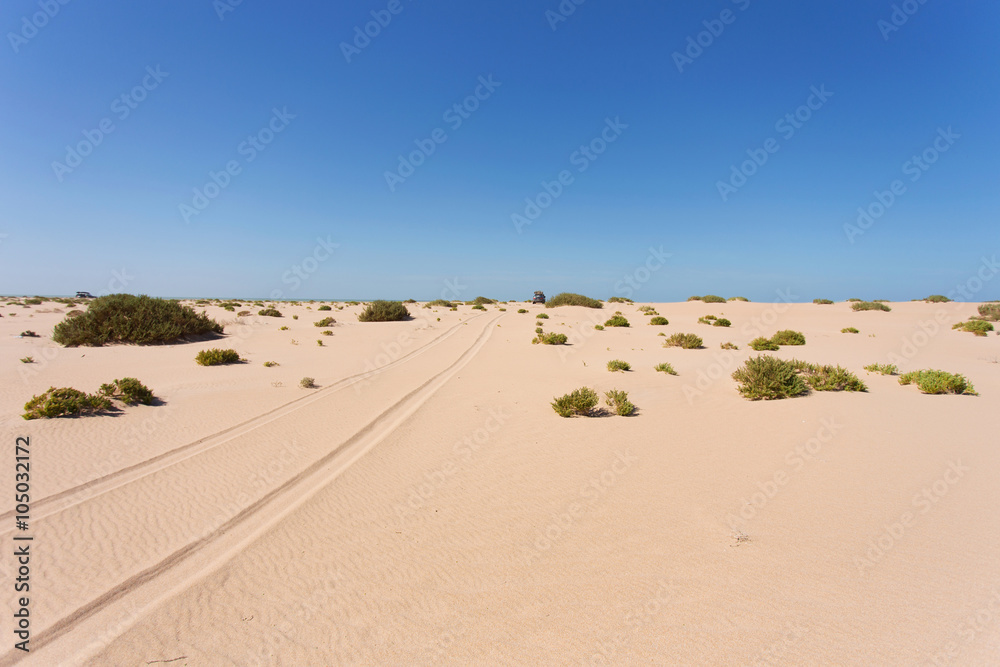 Sahara desert in Western Sahara