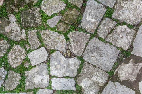 cobblestone with grass texture , stone path with grass texture , cobblestone path texture , cobblestone road texture , pathway stone texture , cobblestone background , texture of cobblestone